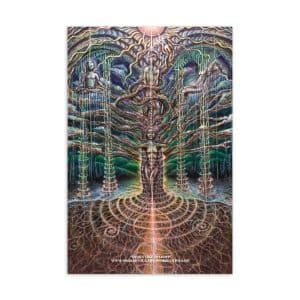 Family Tree - Postcard