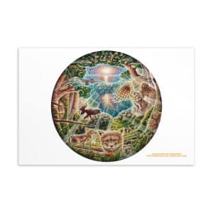 Animal Forest - Postcard